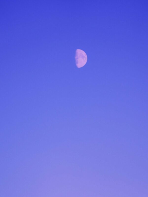 russ-lee-rehU_Y50KDk-unsplash russ-lee-rehU_Y50KDk-unsplash